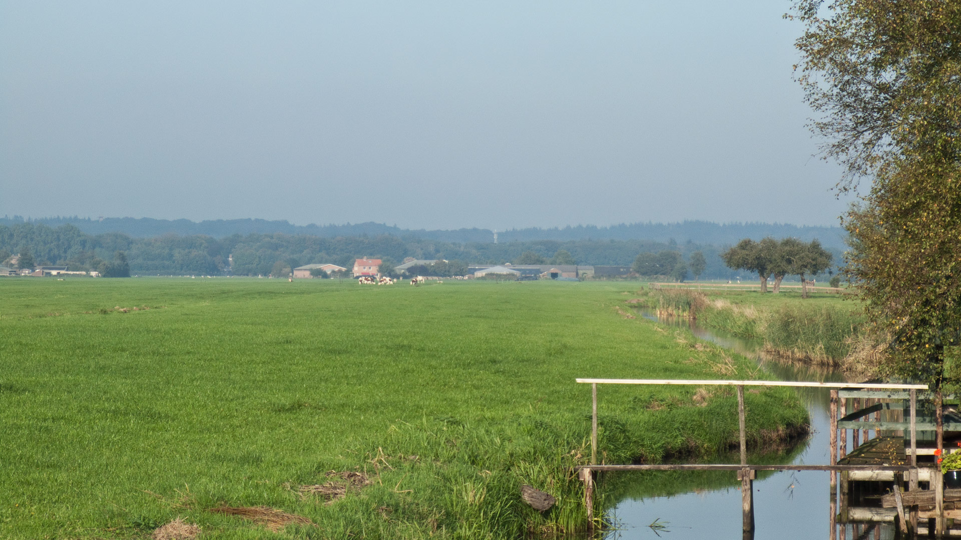 Landscape: Kromme Rijngebied (2)